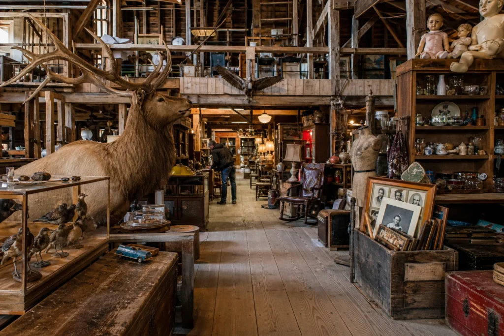 shoppers browsing antique and vintage market stalls at Elmer’s Barn of Junk and Dead Things in Maine